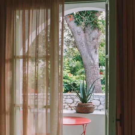 Cycladic Charm Hotel *