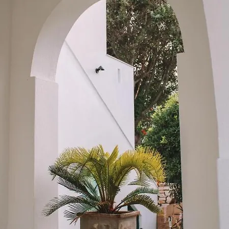 Cycladic Charm *