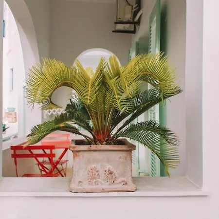 Cycladic Charm Hotel *